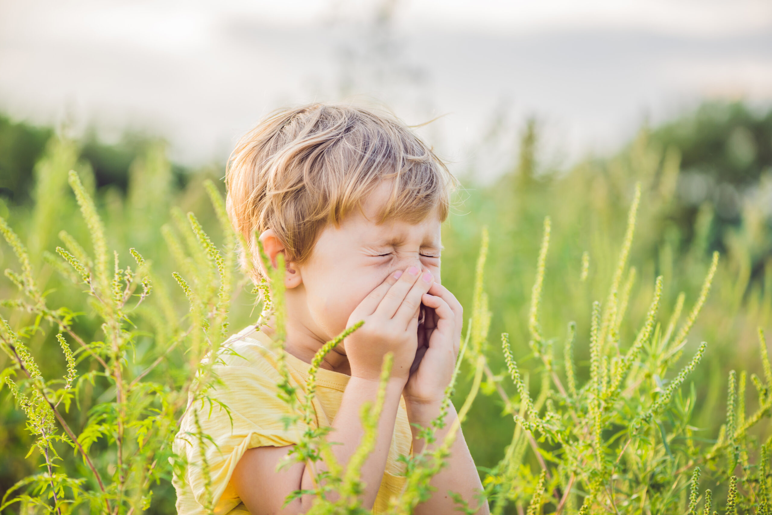 Allergy Awareness Week